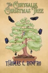 Published book cover from our Book Writing portfolio – sample 11