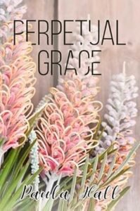 Published book cover from our Book Writing portfolio – sample 12
